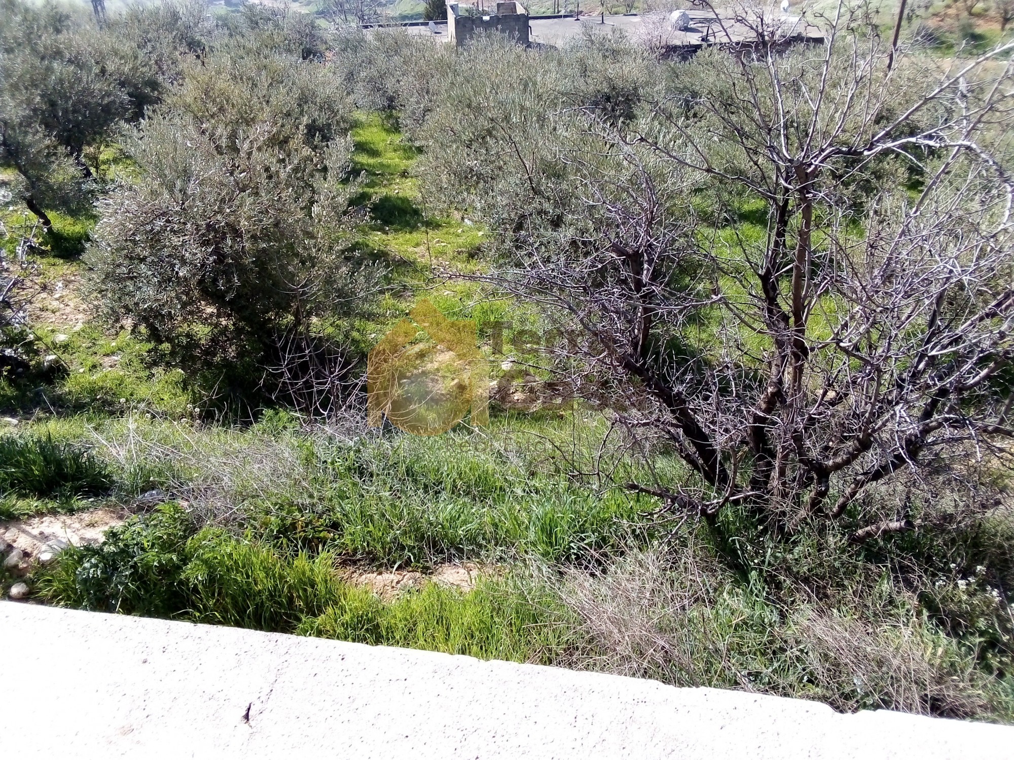 land for sale in niha zahle with open view .